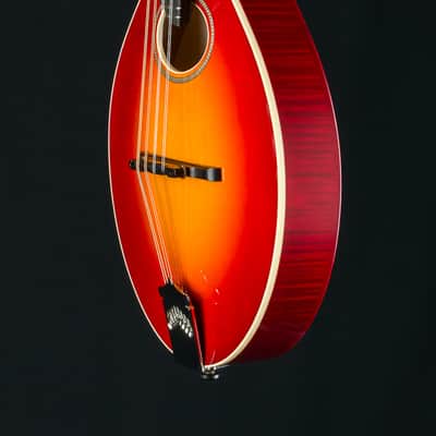 Collings MT-O Cherry Burst Gloss Top Custom Mandolin NEW image 12