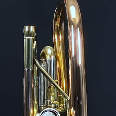 SCHILLER Shepards Crook Pro Elite Cornet in Brushed Rose 2019 image 8