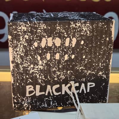 Old Blood Noise Endeavors Blackcap Harmonic Tremolo image 6