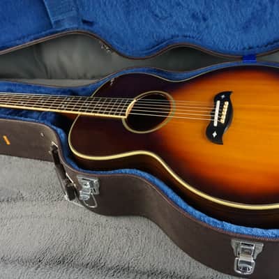 Aria Elecord FE-60 w/ Built-In Electronics w/ Hard Case image 23