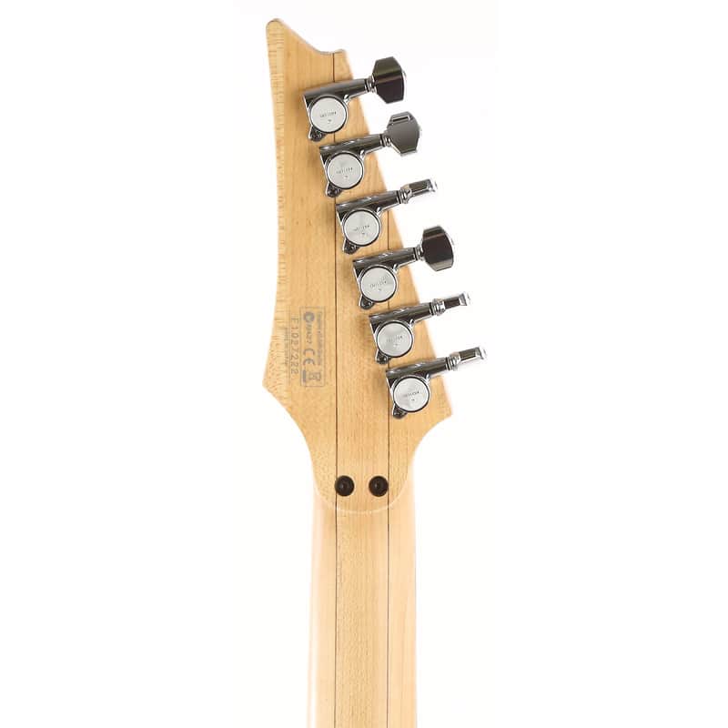 Ibanez JEM77-FP2 Steve Vai Signature Black Floral Pattern 2 image 6