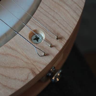 Smokey Mountain Banjo Dulcimer/ Strum Stick image 9