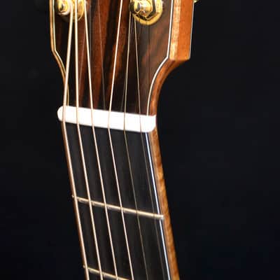 Baden - American Made TJ Baden Guitar Madagascar image 17