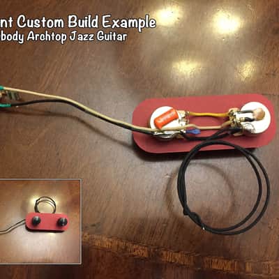 MADE TO ORDER - Custom Harness for ANY Guitar or Bass - Prewired to YOUR Specs! - Wainwright Customs image 7