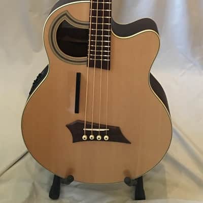 Warwick Rock Bass Alien Deluxe Acoustic - Satin image 1