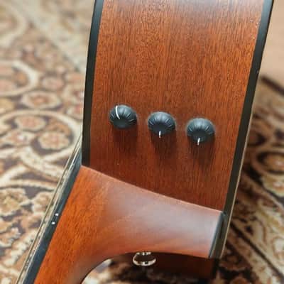 Taylor Taylor 355ce with ES1 Electronics image 4