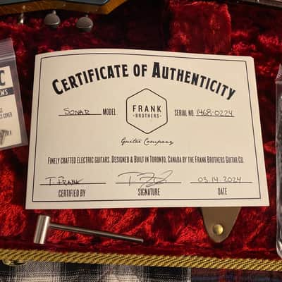 Frank Brothers Guitar Company Sonar 2024 - Faded Lake Placid Blue image 4
