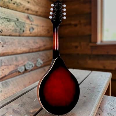 The Loar LM-310F Honey Creek F-Style Mandolin Brown Burst LM-110-BRB image 4