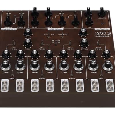 SOMA Laboratory Lyra-8 Organismic Drone Synthesizer (Rust) image 2
