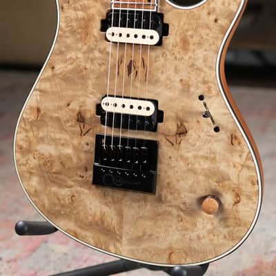 Mayones NAMM Regius 4Ever 6 – Master Grade Myrtlewood Burl with Mayones HISCOX Case image 4