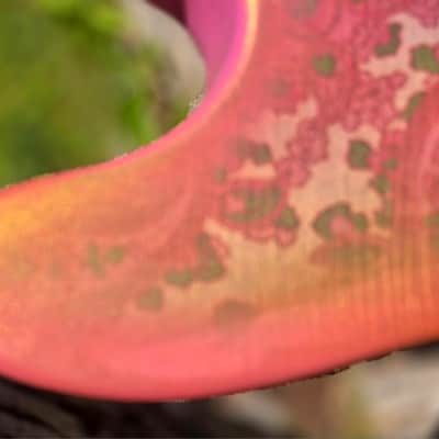 Pink Paisley Tele Body, Aged, Nitro , Alder image 9