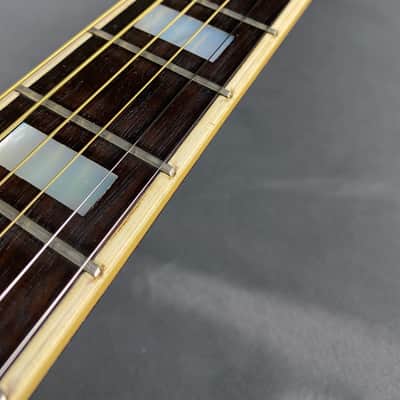 Yamaki B-50 Enchanting Harmony Rare MIJ! Buffalo Head image 8