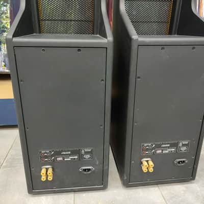 Martin Logan Aerius I 20-400W Hybrid Electrostatic Loundspeakers System 1996-2000 - Black & Natural image 5