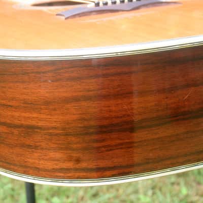 1977 Yairi YW600G Grammer Guitar Style New Jacaranda - Natural+Hard Case image 10