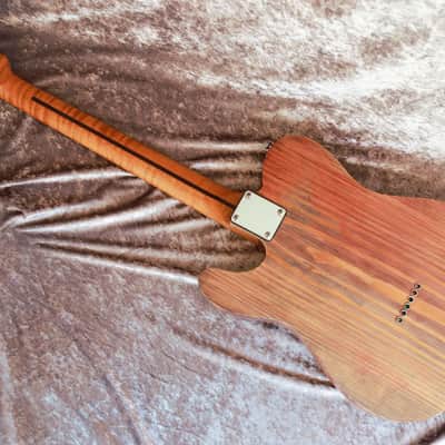 Build to order GB Liuteria Traditional Tele Semi Hollow Custom shop - grape marc image 14