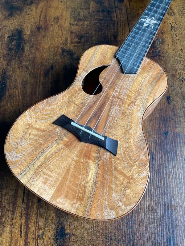 Snail BH-2C 2025 - Gloss/Satin Workshop stock Ref No 185 image 1