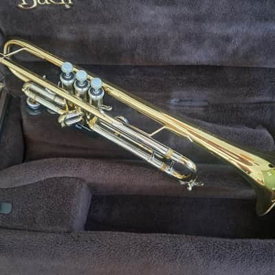 Bach Stradivarius 43 Trumpet image 5