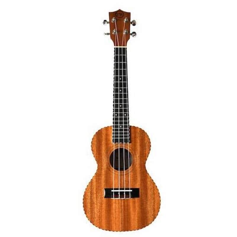 Twisted Wood Guitars Original Concert Ukulele Laminate Mahogany w/rope binding - padded gig bag image 1