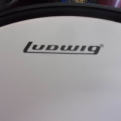 NEW Ludwig 12" x 5" Mini Piccolo Snare Drum Sparkle Silver from Questlove Pocket Set image 8