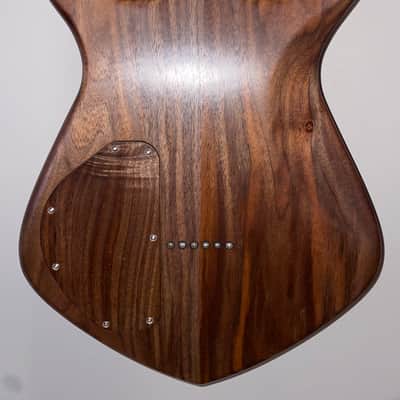 Dries Guitars- Stella 2024 image 7