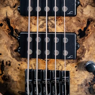Legator HB5SS-JB 5-String Electric Bass - Jupiter Burst with Gig Bag image 8