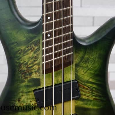 Spector NS Dimension 4 - Haunted Moss image 4