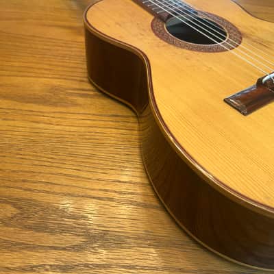 1978 Giannini AWN-21 - Natural Brazilian Rosewood/Jacaranda image 19