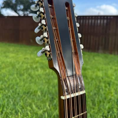Gallardo Bajo Quinto - Mexican Rosewood Bajo Quinto 2026 - Mexican Rosewood (palo escrito) image 5