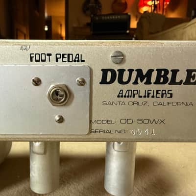 Dumble Overdrive Special WX50 1978 - gray suede image 5
