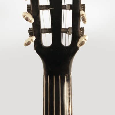 Ludwig Reisinger Viennese Classical Guitar (late 19th Century), hard shell case. image 7