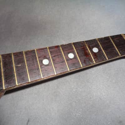 E. Zerega Bowlback Mandolin Brazilian 1900 image 4