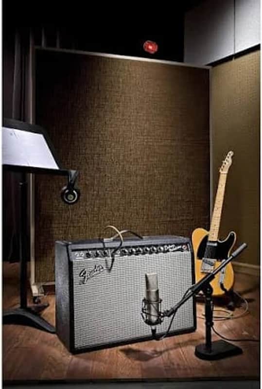 '65 Deluxe Reverb Reissue 22-Watt 1x12" Guitar Combo image 1