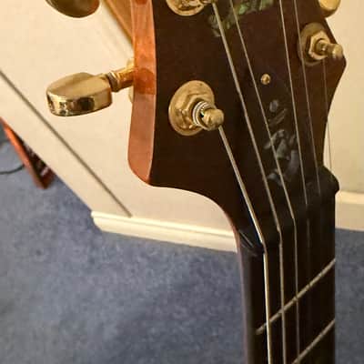Guitar Carlos Santana Early 2000's image 4