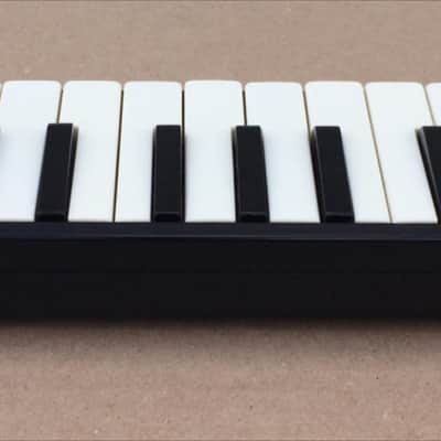 Hohner Melodica Piano 20 Vintage Keyboard Harmonica + Case image 5