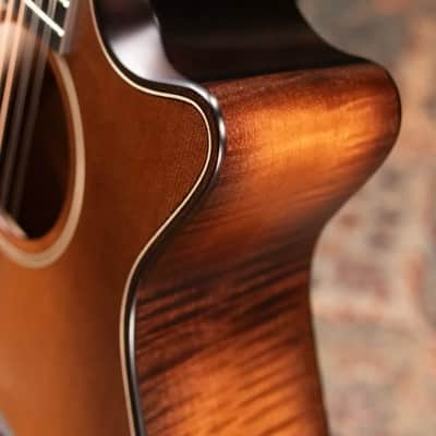 Taylor Builder's Edition 652ce 12-String Grand Concert Acoustic/Electric Guitar - Wild Honey Burst with Hardshell Case image 10
