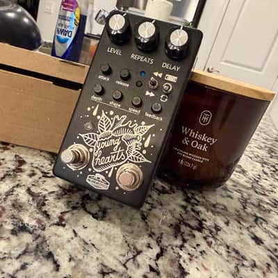 Polar Bear Effects Young Hearts Lo-Fi VCR Glitch Delay Pedal image 5