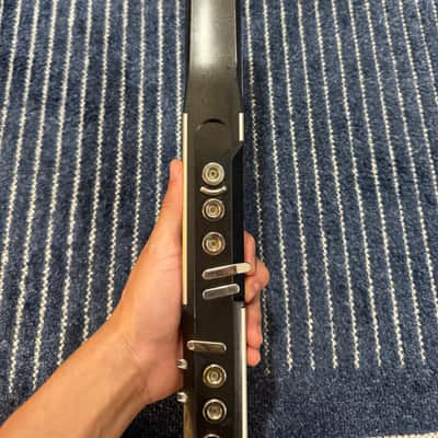 Akai EWI4000S 2005 - Present - Black image 8