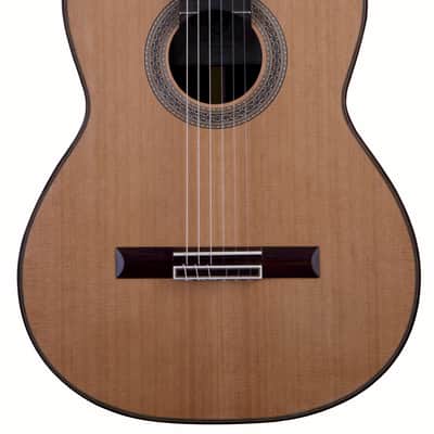 SAERS  A50 classical guitar lattice bracing image 9