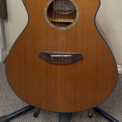 Breedlove Pursuit Concert CE LTD Red Cedar/Mahogany Concert with Built-in Electronics OPEN TO OFFERS image 1