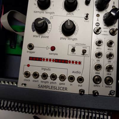 Ginkosynthese Sampleslicer - Eurorack Looper & Sampler Module image 1