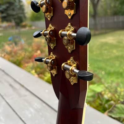 Santa Cruz PJ - Rosewood Back & Sides imagen 4