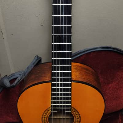Gremlin GC10 Acoustic 80's image 2