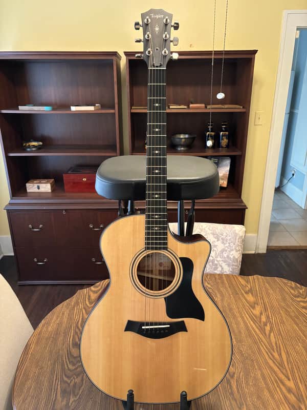 Taylor 314ce with V-Class Bracing