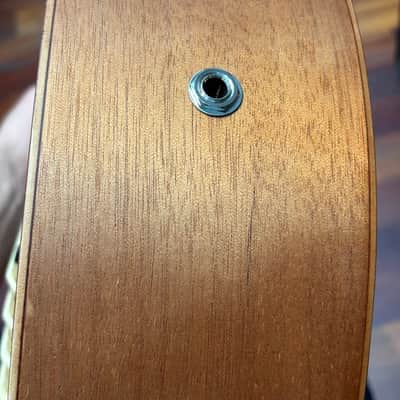 Gold Tone Micro Bass M-Bass25 image 13