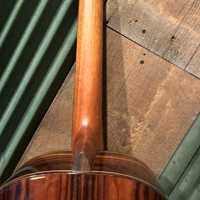 Washburn Bella Elegante S24S Solid Spruce Top Parlor Size Acoustic Guitar image 7