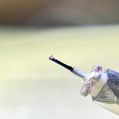 Van den Hul Colibri Master Signature Moving Coil Phono Cartridge, Original price: $11995 image 23