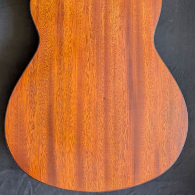 Sonicguitars CLASSIC PLAYER 2026 - Shellac image 9