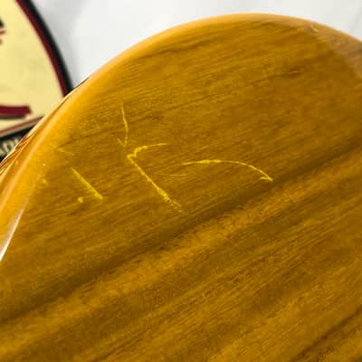 Galveston Singlecut Acoustic Electric Resonator Guitar image 22