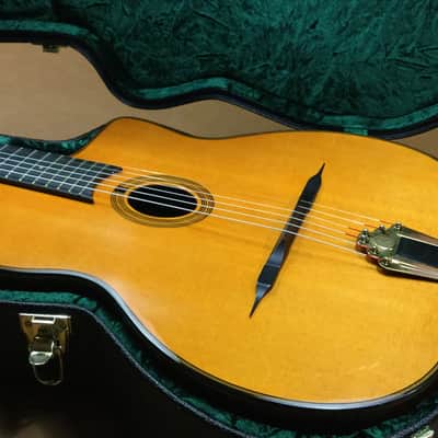 Gitane DG-250 w/ Bigtone Pickup image 1