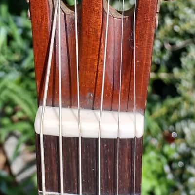 On Sale**1889 Bay State John C. Haynes Parlor guitar w/Brazilian rosewood body and spruce top Play Now & Pay Later Offer*Make an OFFER* image 6